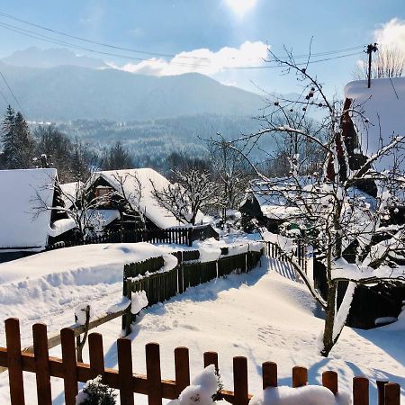 Villa Viktoria- Neakceptujeme Mlade Partie Terchová Exterior foto